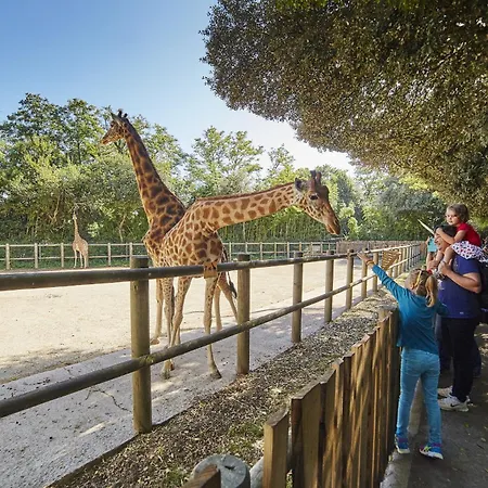 250m De La Grande Plage, Pour 4 Les Sables-dʼOlonne